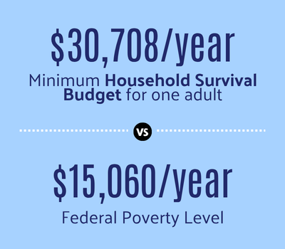 Household Survival Budget